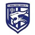 Cangzhou  Mighty  Lions  FC